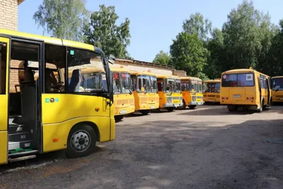 Перевозка детей: автобусам снижают возраст Автомобильный портал 5 Колесо