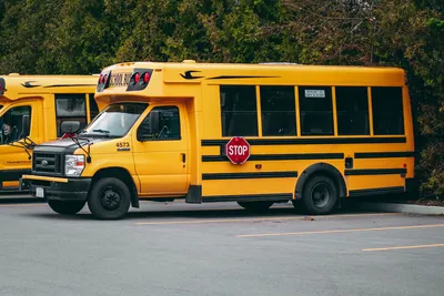 Школьные автобусы: производство, виды, требования, особенности выбора :  ЯрКамп