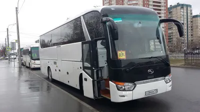 Перевозка детей автобусом в Санкт-Петербурге
