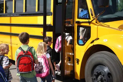 Почему в Америке автобусы желтые: интересный факт о безопасности детей |  FancyFacts: удивительное многообразие фактов | Дзен