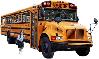 Автобус Желтой Школы Пассажирский Транспорт Для Перевозки Детей В Школу  Назад В Школу — стоковая векторная графика и другие изображения на тему  Автобус - iStock