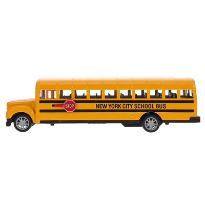Вожу детей и в сад, и в школу». Водитель школьного автобуса о жизни в  глубинке | MogilevNews | Новости Могилева и Могилевской области