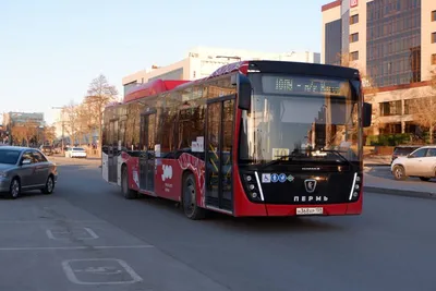 Автобусы российского производства: производители городских, пассажирских и  туристических автобусов в России : ЯрКамп