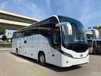 В Челябинске вышли в рейс новые зелёные экологичные автобусы 20 сентября  2019 г - 20 сентября 2019 - 74.ru
