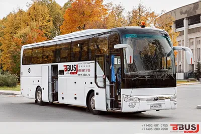 Ташкент получил новые автобусы, в том числе Isuzu (их закупка запрещена с  2018 года) – Новости Узбекистана – Газета.uz