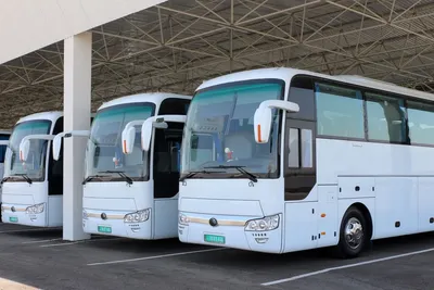 Трансфер и аренда автобуса Yutong 6122 49 мест (с туалетом) белого цвета,  2019-2023 года с водителем