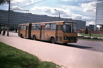 В декабре в Челябинск вернутся автобусы-гармошки - 11 ноября 2022 - 74.ru