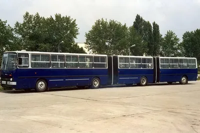 Автобус-«гармошка» взобрался на фонарный столб в Петербурге (ФОТО, ВИДЕО)