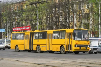 Автобусы, внутри которых можно проводить соревнования по бегу — Фото —  Селектор — Motor