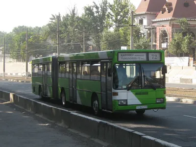 В Ташкент прибыли первые 10 сочлененных автобусов («гармошка»)