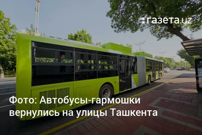 Новые синие автобусы в Казани: на кого рассчитаны новые автобусы - 10  февраля 2022 - 116.ru