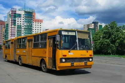 Икарус 280 - популярный городской автобус