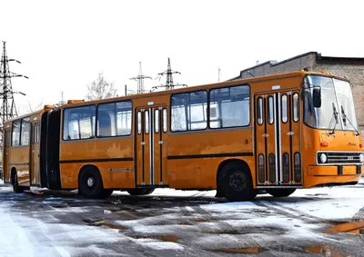 Слухи: «Группа ГАЗ» готовится представить электробус-гармошку