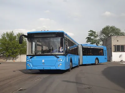 Модель машины «Автобус гармошка», масштаб 1:16, звук, свет купить в Чите  Автобусы инерционные в интернет-магазине Чита.дети (9906638)