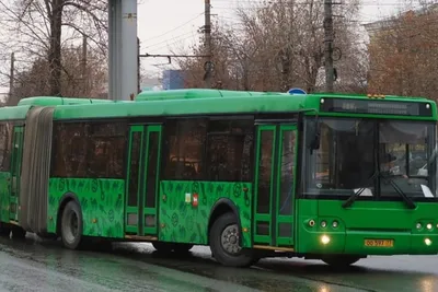 Автобус ПАЗ гармошка… И вы тоже не видели? — Сообщество «Грузовики и  Автобусы» на DRIVE2