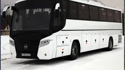 Купить масштабную модель автобуса ГолАЗ-4242 (Наши Автобусы №41), масштаб  1:43 (Modimio)