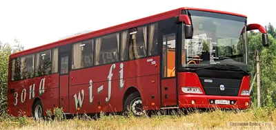 Автобус ГолАЗ-5251