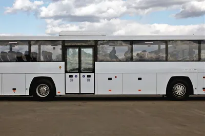 Автобус ГОЛАЗ-52911 Круиз двигатель Scania 400лс. мест 47 / bus GOLAZ -  YouTube