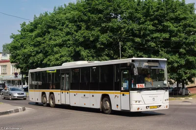 Автобус Голаз 4242 - характеристики | Журнал «АВТОТРАК»