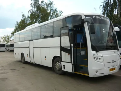 Купить масштабную модель автобуса ГолАЗ-4242 (Наши Автобусы №41), масштаб  1:43 (Modimio)