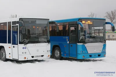 Отзыв: Автобус ГОЛАЗ 5291, 2015 г. в. - Отзывы об автобусах ГолАЗ -  Грузовой Ру
