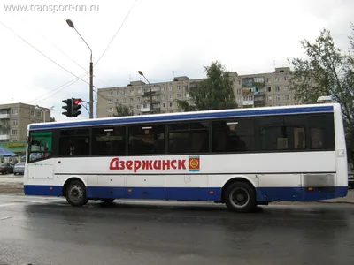 ГолАЗ-4242 «Годзилла» — Наш Транспорт