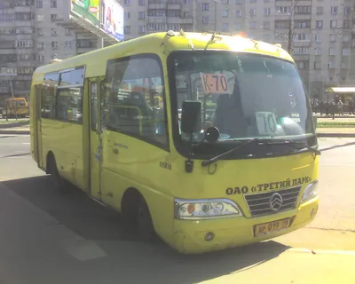 File:Bus Golden Dragon.jpg - Wikimedia Commons