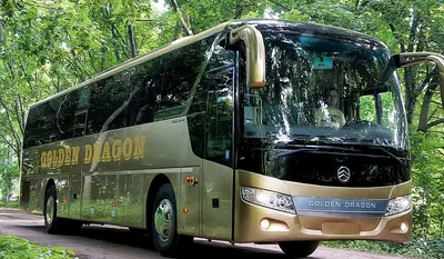 Купить городской автобус King Long Golden Dragon 6155 Германия Malsch,  YW10962