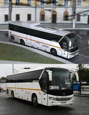 Аренда и заказ автобуса Голден Драгон (Golden Dragon) на 49 мест в Москве