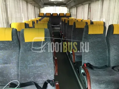 Купить новый автобус Golden Dragon Triumph дизель механическая белый  туристический 2022 года по цене 9300000 рублей №17693501 в Челябинске