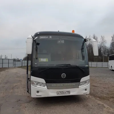 Автобус Golden Dragon (056) в аренду с водителем в Москве по НИЗКОЙ цене -  компания 1001 bus
