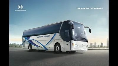 Купить новый Golden Dragon XML6126 дизель механика в Москве: белый 2020  года на Авто.ру ID 15616366