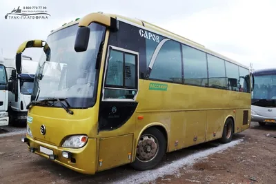 Автобус Golden Dragon 6127 55 мест Белый - прокат, заказ, аренда