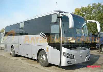 Golden Dragon XML6126JR о736вм - Иркутск - Фото №109446 - Твой Транспорт