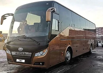 Автобус Higer KLQ6128LQ аренда на свадьбу 32 места | Заказать недорого в  Москве