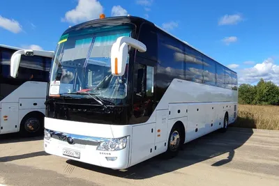 Аренда комфортабельных автобусов для корпоративных туристических групп -  Однодневные экскурсии для школьников