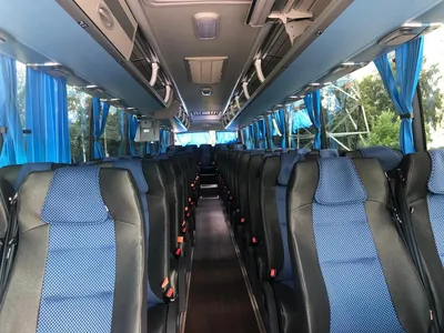 Автобус Higer на 55 мест с водителем - ТрансМедАвто