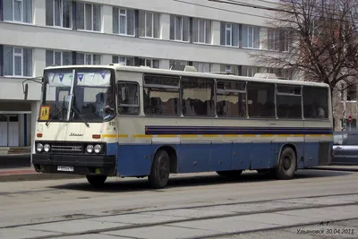 Идеально сохранившийся 30-летний автобус «Икарус» продают за 15 миллионов  рублей — Motor