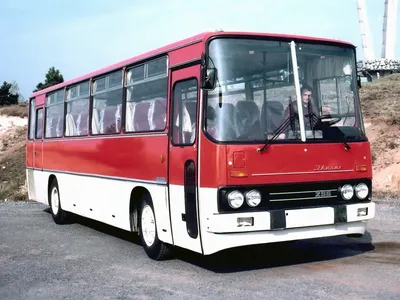Автобус, который мог заменить аэропорт: 5 сумасшедших фишек уникального  Ikarus 695.01 - читайте в разделе Подборки в Журнале Авто.ру