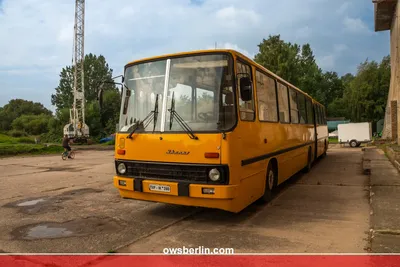 Ikarus-250 – номер один среди междугородних автобусов | Колёса: настоящее  вчера | Дзен
