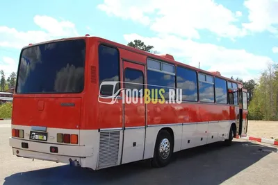 ikarus икарус-556 наши автобусы #38 - купить в интернет-магазине OZON по  выгодной цене (761645202)