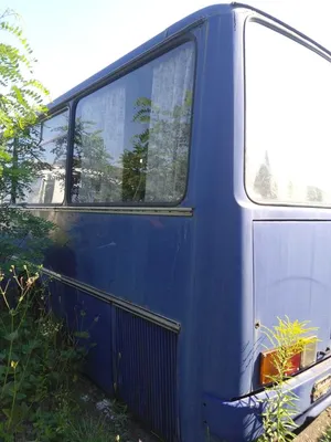 Редкий автобус Ikarus 55 восстановили до заводского состояния в Москве