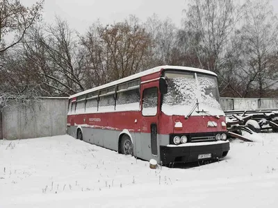MODELLTEC 14130503 — Городской автобус Икарус 280 (зелёный), 1:87,  1973—2002, СССР. Модели железных дорог