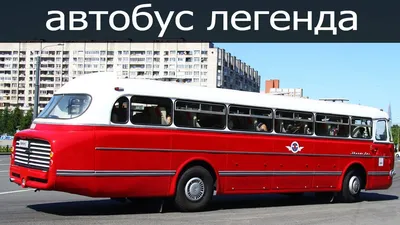 Идеально сохранившийся 30-летний автобус «Икарус» продают за 15 миллионов  рублей — Motor