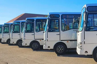 Ташкент получил новые автобусы, в том числе Isuzu (их закупка запрещена с  2018 года) – Новости Узбекистана – Газета.uz