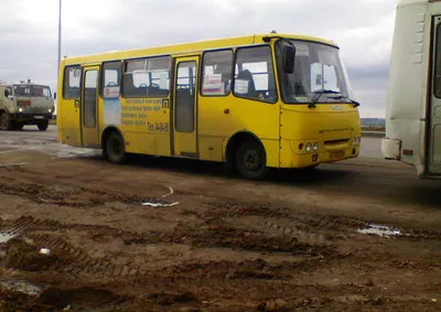 Современные автобусы Isuzu будут курсировать по Тбилиси - 01.05.2019,  Sputnik Грузия