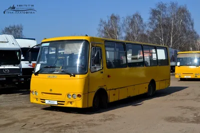 Isuzu SAZ HD 50 interurban bus for sale Uzbekistan Tashkent, WV34952