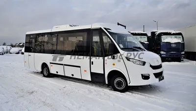 Туристический микроавтобус Iveco Daily - купить от доработчика