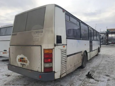 Купить Karosa C943 Междугородный автобус 2001 года в Мегионе: цена 400 000  руб., дизель, механика - Автобусы
