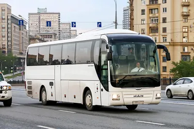 Автобус категории м3 фото 